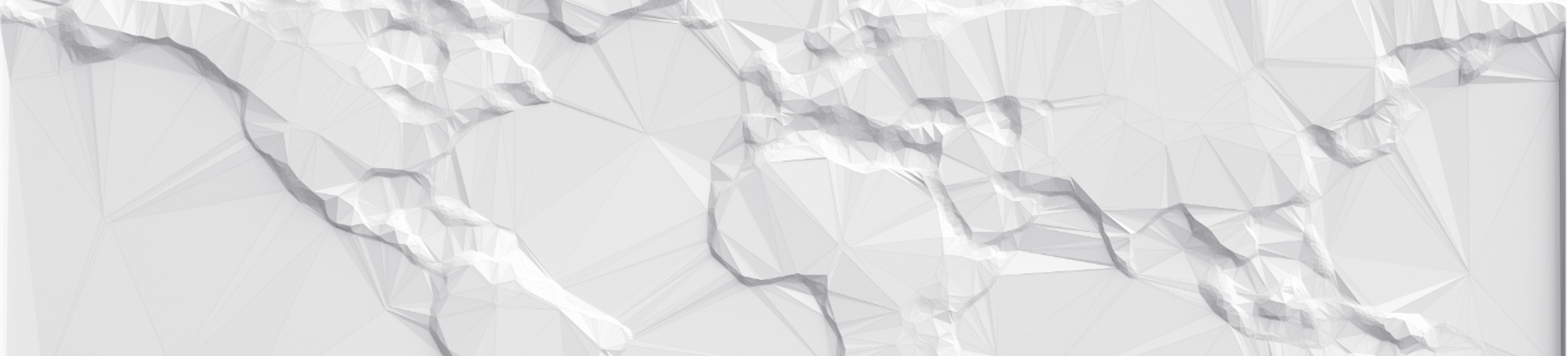 WomXn's Digital Collaborative Banner